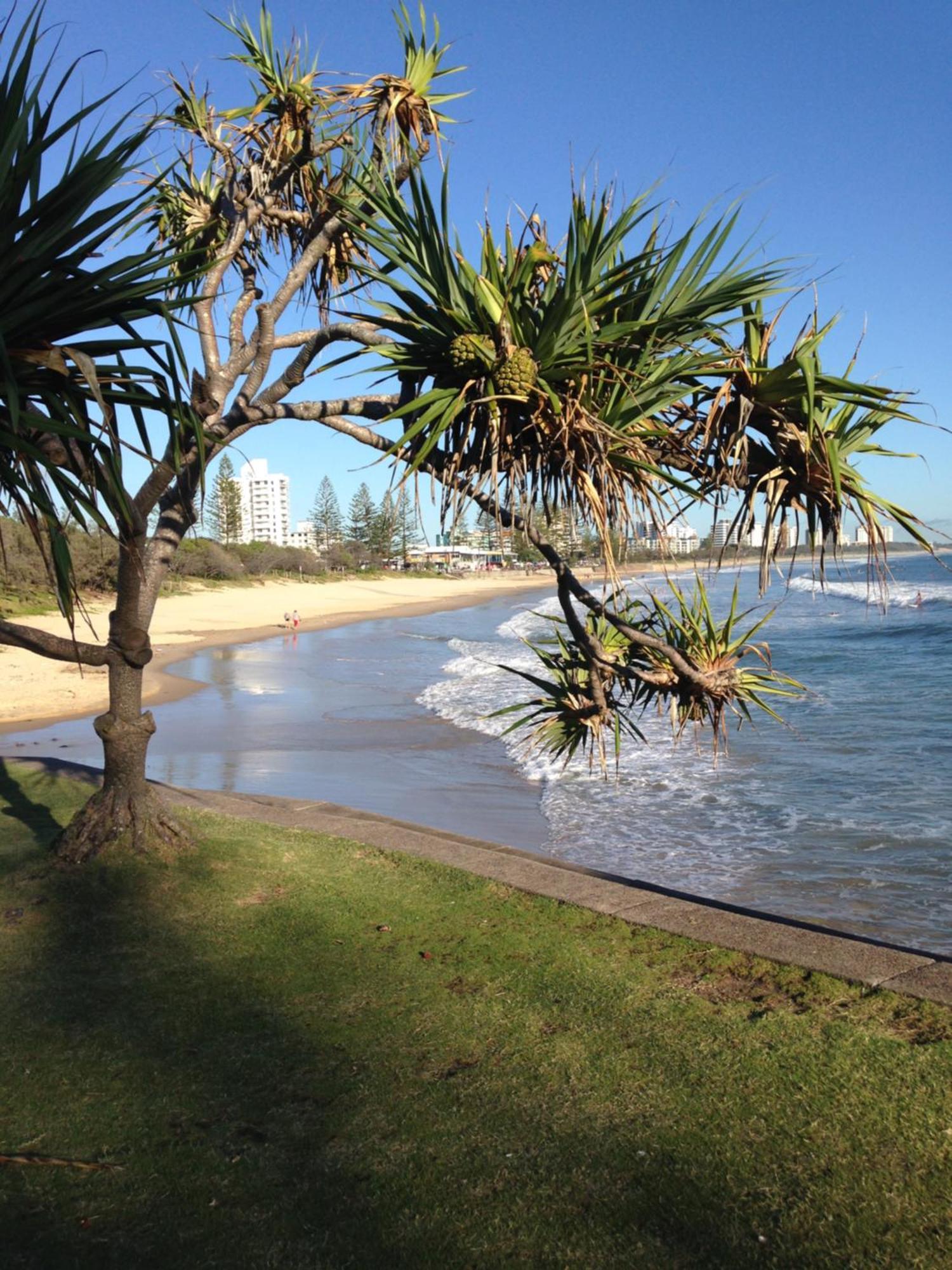 Grand Palais Boolarong Beachside Apartments Alexandra Headland Luaran gambar